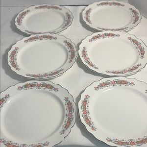 Charming Floral Dinner Plate Set 6 / 7 inch plates